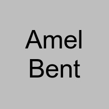 Amel Bent
