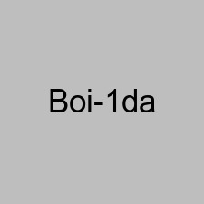 Boi-1da