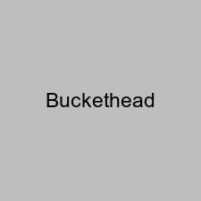 Buckethead