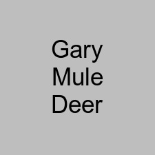 Gary Mule Deer