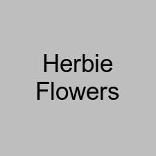 Herbie Flowers