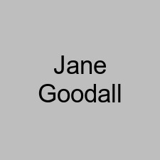 Jane Goodall