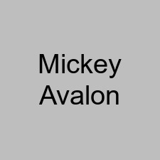 Mickey Avalon