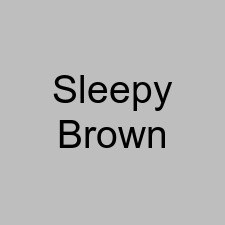 Sleepy Brown