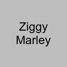 Ziggy Marley
