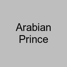 Arabian Prince