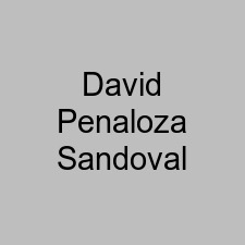 David Penaloza Sandoval