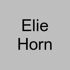 Elie Horn