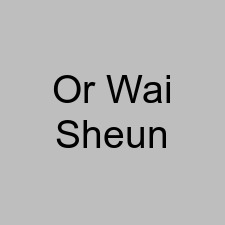 Or Wai Sheun