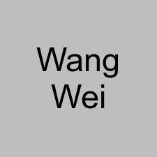 Wang Wei