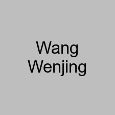 Wang Wenjing