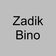 Zadik Bino